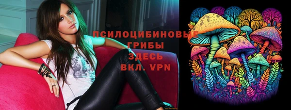 крисы Осташков