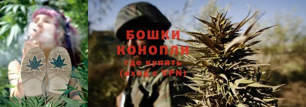 крисы Осташков
