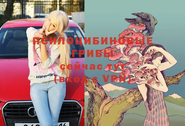 2c-b Няндома