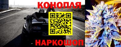 индика Аргун