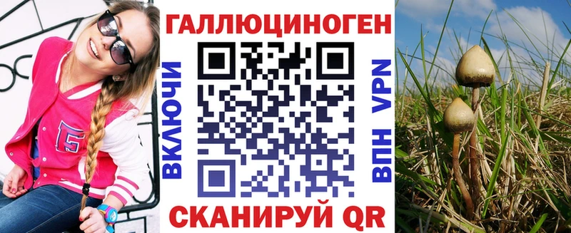Галлюциногенные грибы Psilocybe  продажа наркотиков  гидра ONION  Березники 