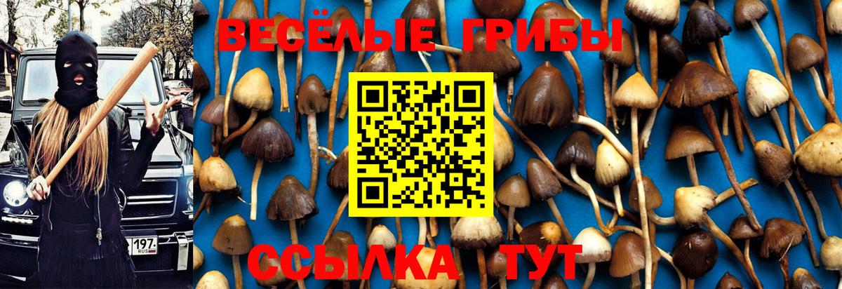 Галлюциногенные грибы мицелий Березники