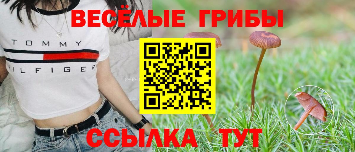 Псилоцибиновые грибы Magic Shrooms  Вход с VPN  наркошоп  Псилоцибиновые грибы ЛСД  Березники 
